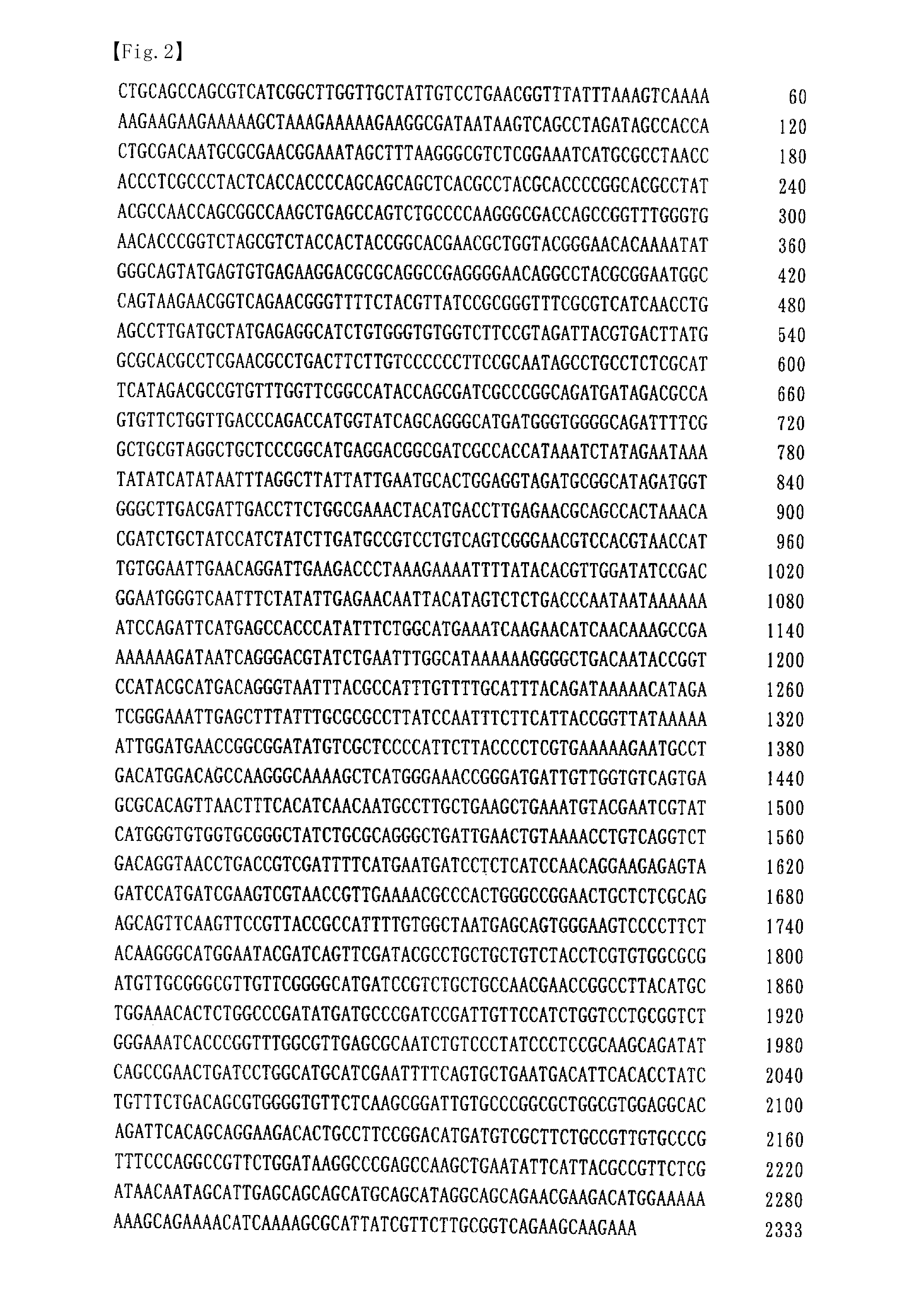 Gene involved in quorum-sensing system of acetic acid bacterium, acetic acid bacterium bred by modification of the gene and method for production of vinegar by using the acetic acid bacterium