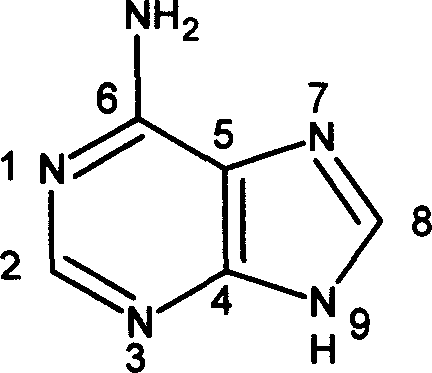 Adenine kind derivative and its synthesis method