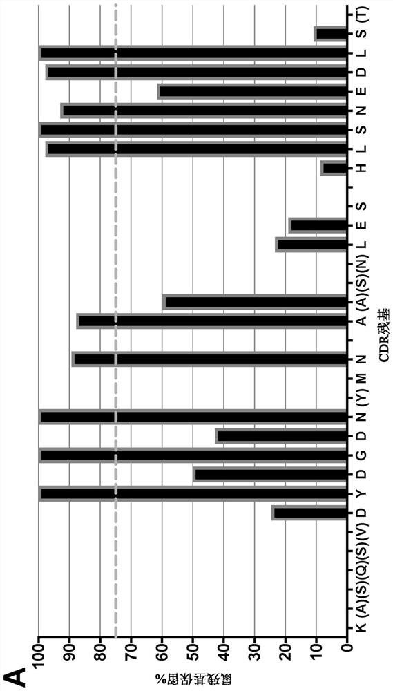 Csf1r binding agents