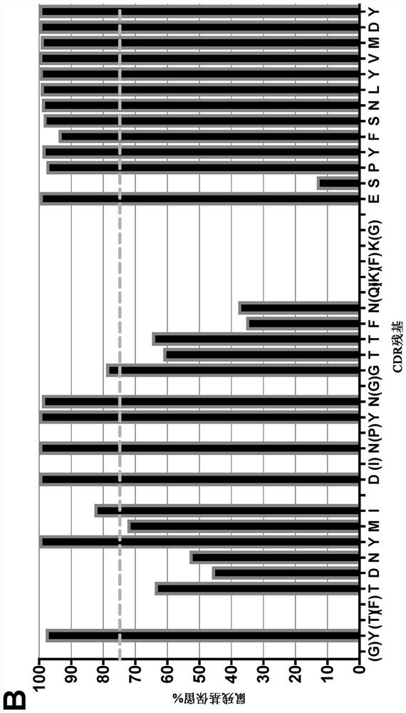 Csf1r binding agents