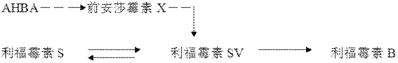 Method for producing high-activity and high-purity rifamycin SV