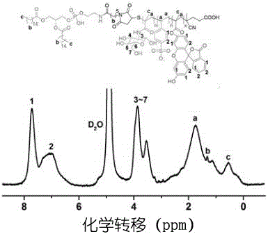 GAG (glycosaminoglycan) analogue realizing cell membrane modification, synthetic method of GAG analogue and application method of GAG analogue in in-vitro induced stem cell directional differentiation