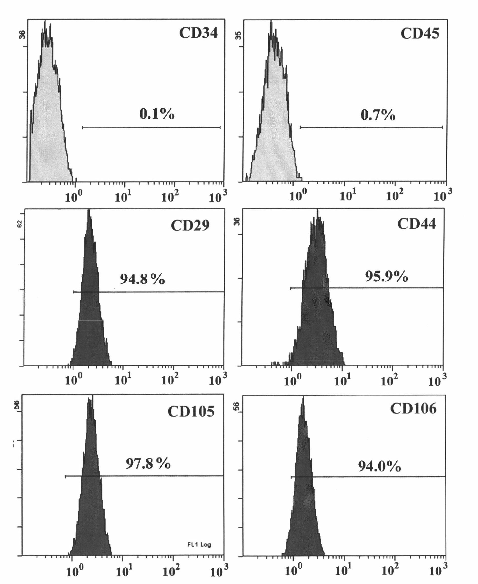 Method for storing mesenchymal stem cells and method for culturing mesenchymal stem cells