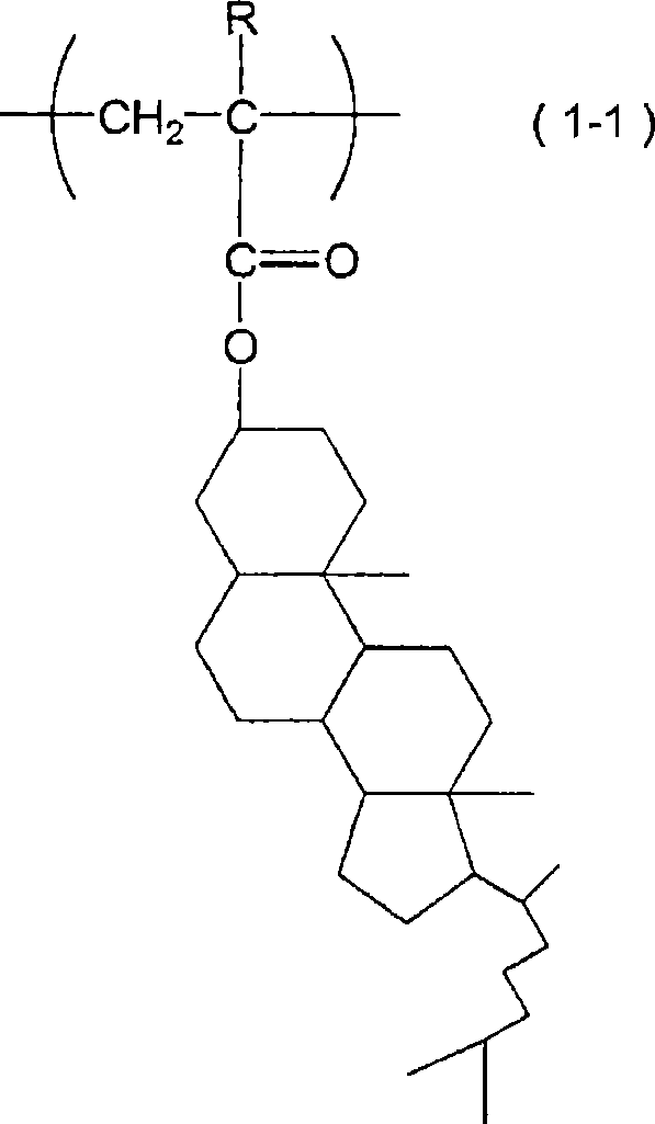 Liquid crystal orientation agent, liquid crystal orientation film and liquid crystal display element