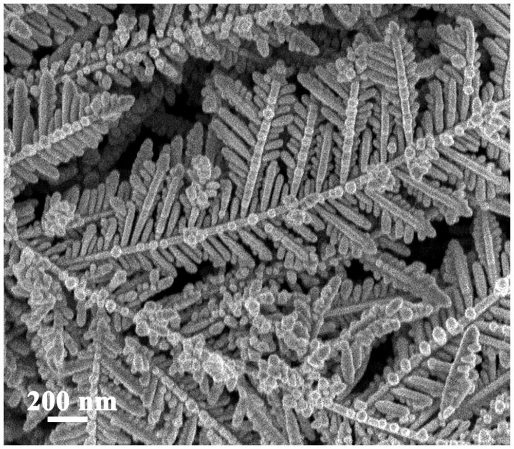 Surface-enhanced Raman substrate with both stability and Raman intensity and preparation method of surface-enhanced Raman substrate