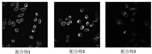 A class of boron-containing heteronuclear iridium complexes and their preparation methods and applications