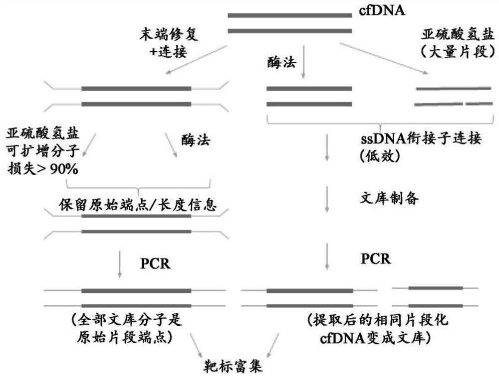 Methods and systems for high-depth sequencing of methylated nucleic acid