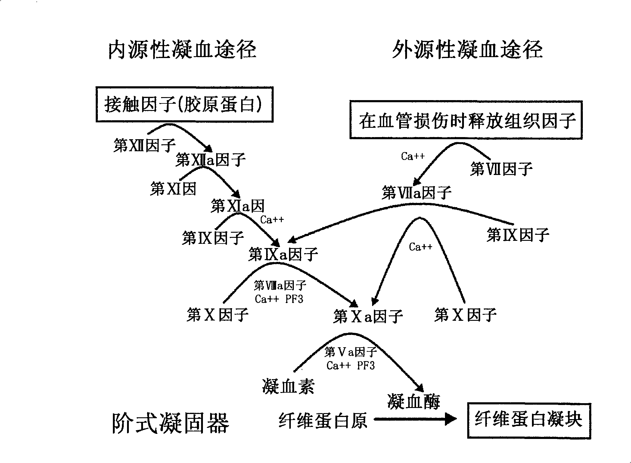 Method for manufacturing high purified factor ó¨