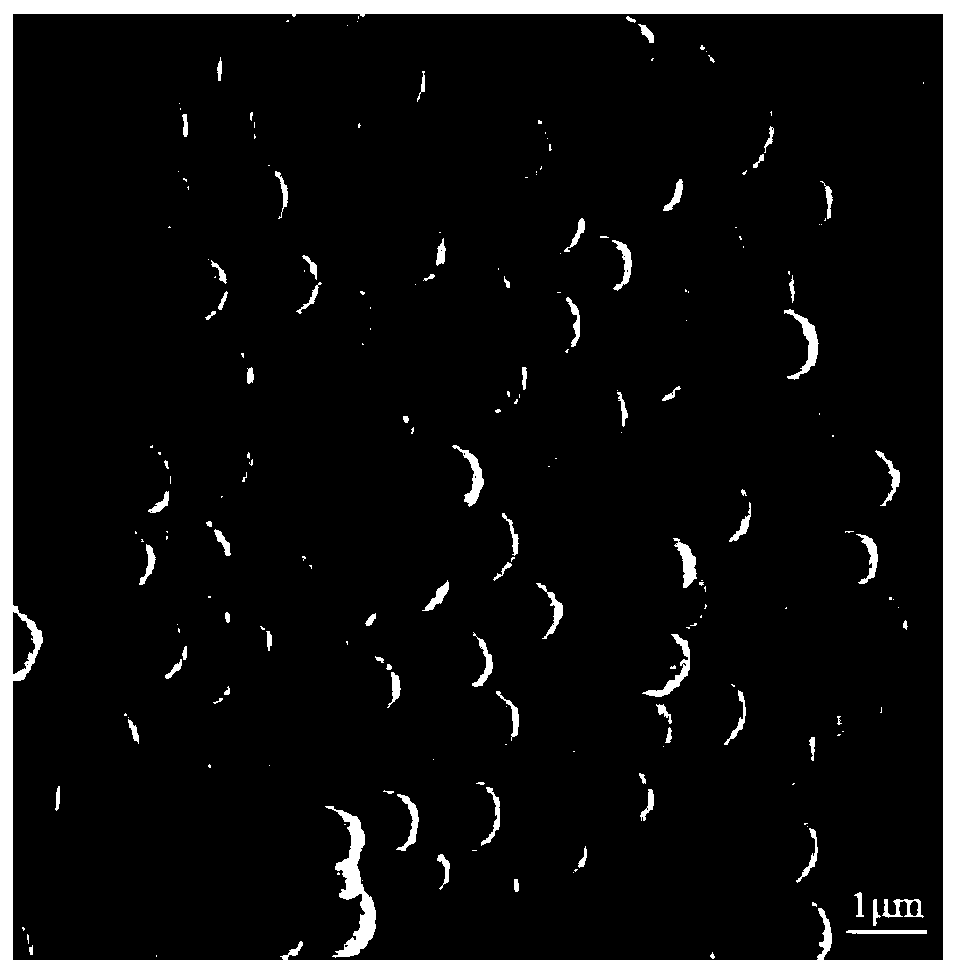 Polar polymer microparticles, preparation method and applications thereof