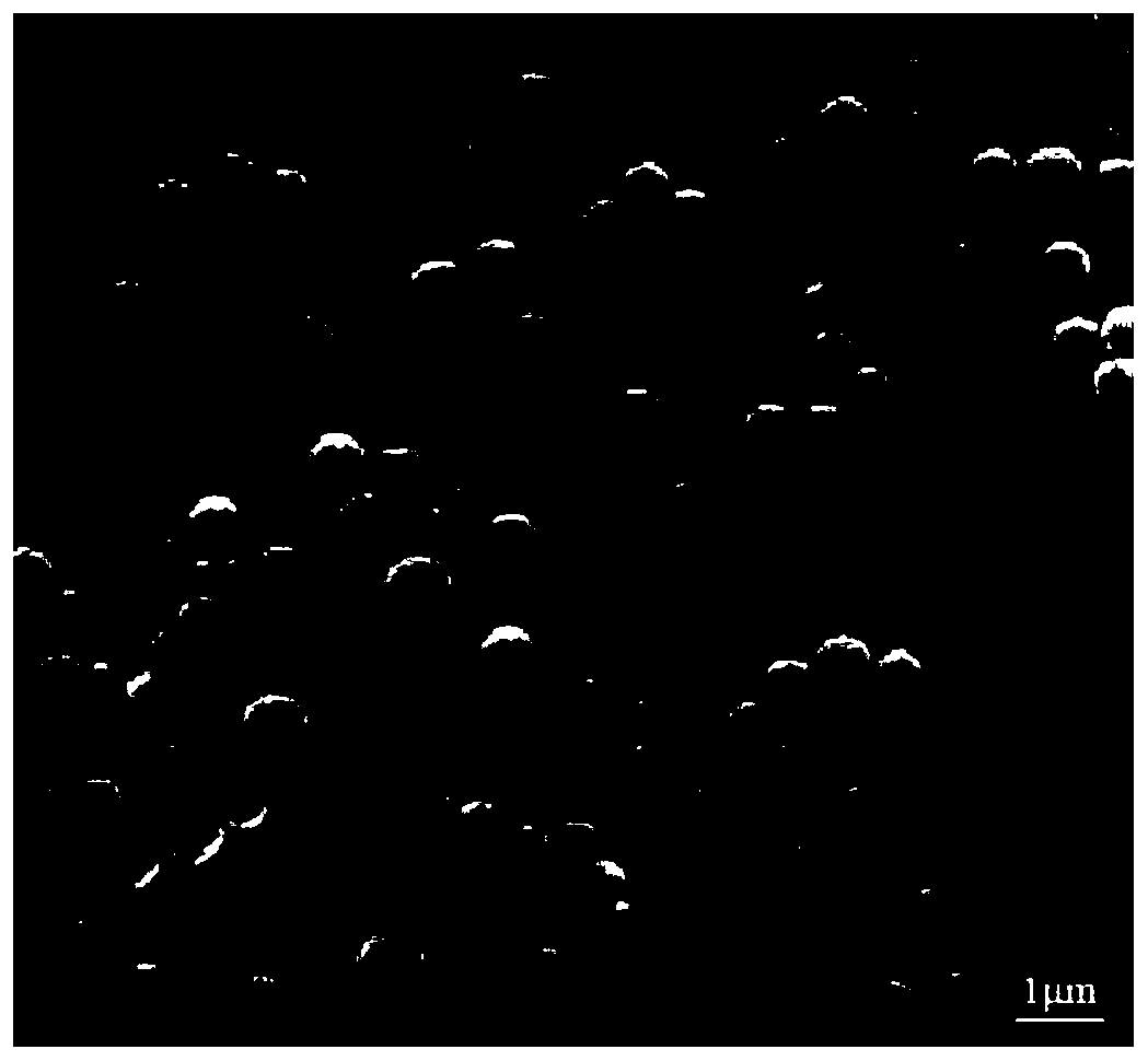 Polar polymer microparticles, preparation method and applications thereof