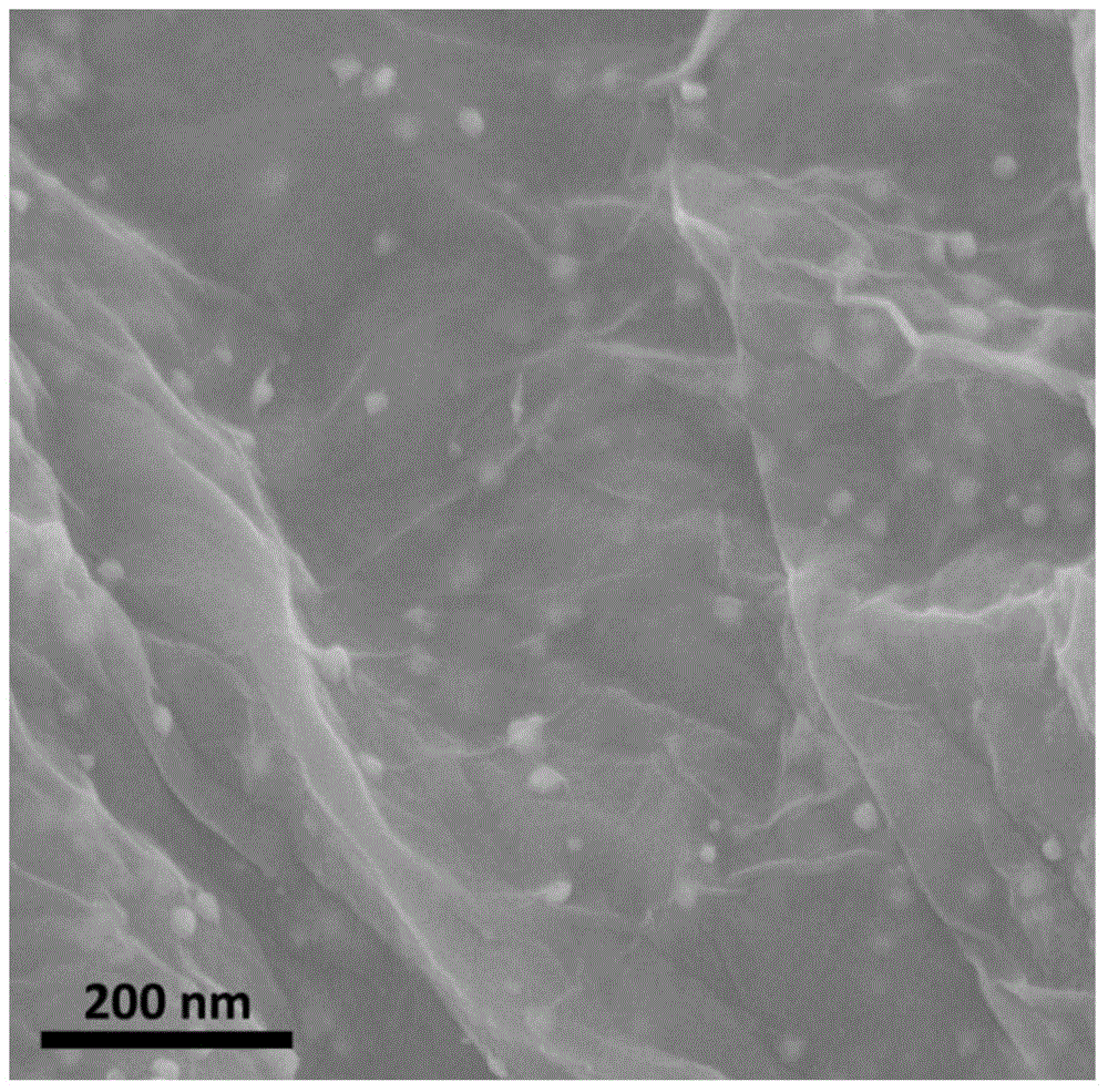 Magnetic graphene-based platinum-nickel bimetallic catalyst and preparation method of magnetic graphene-based platinum-nickel bimetallic catalyst