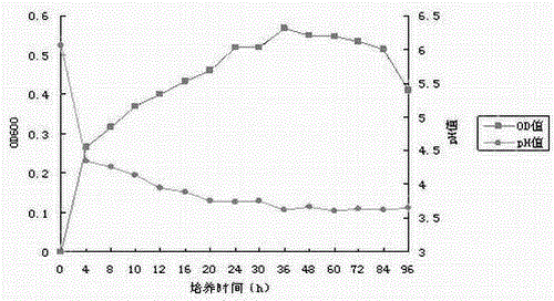 Application of Lactobacillus casei fermentation liquor to feeds