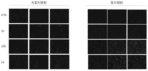 pH and light dual-response target medicine loading system and preparation method thereof