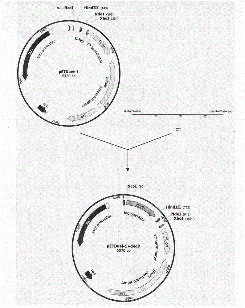 Preparation method of vidarabine monophosphate