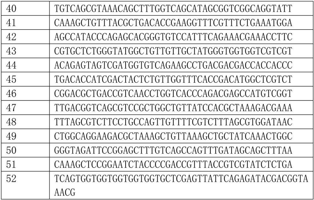 A mutant of thymidine phosphorylase protein