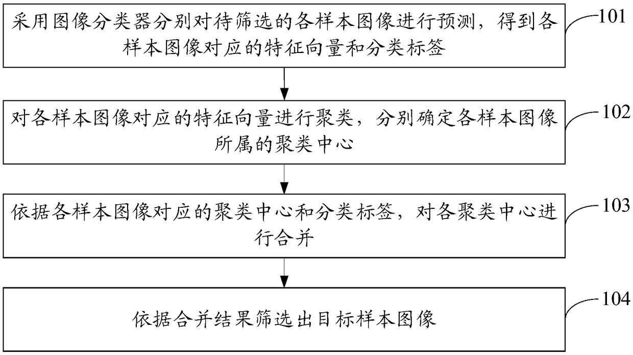 Sample image screening method and device, electronic device, and storage medium