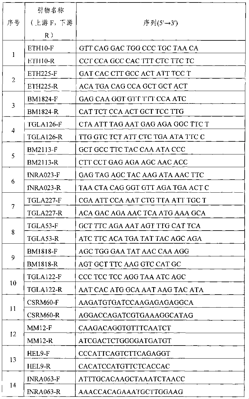 Microsatellite loci marker combination and application thereof