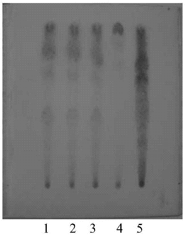 Detection method of traditional Chinese medicinal composition for treating waist and knee pains and sciatica