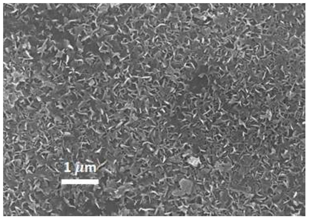 a fast growing sno  <sub>2</sub> nanosheet approach