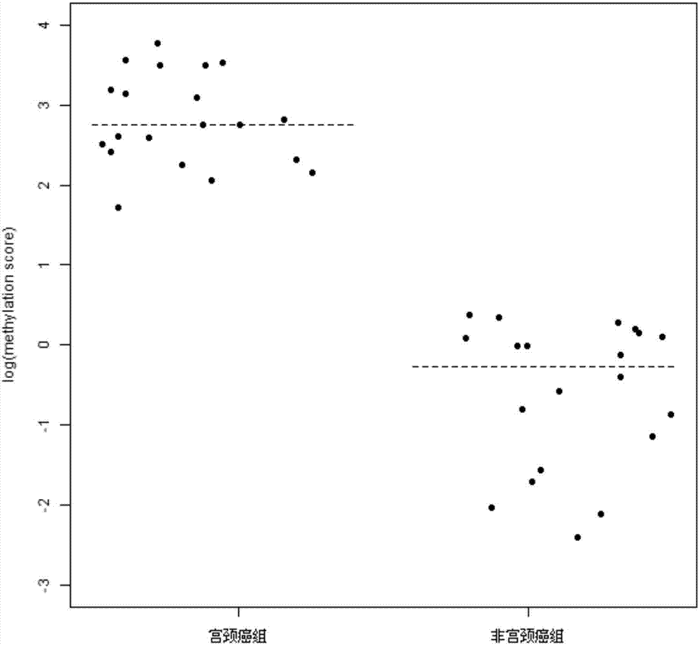 Detection primer for methylation degree of related genes of cervical cancer, probe, kit and application thereof