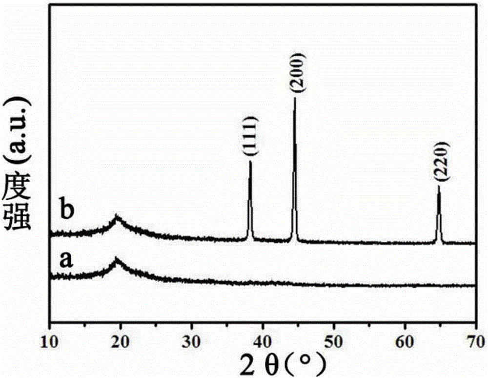 Silver-loaded chitosan/polyvinyl alcohol micro-ribbon and preparation method and application thereof