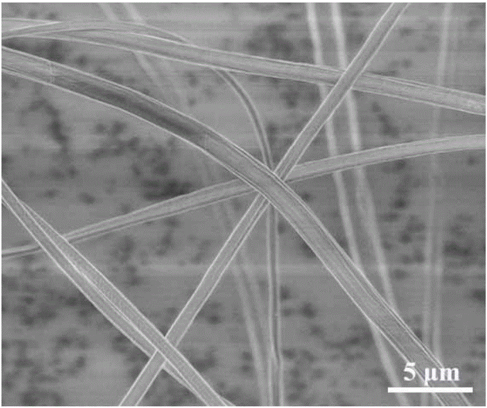 Silver-loaded chitosan/polyvinyl alcohol micro-ribbon and preparation method and application thereof