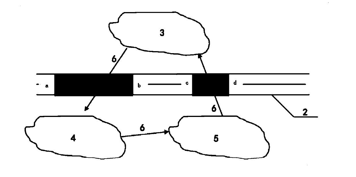 Method for setting highway amphibian passage system