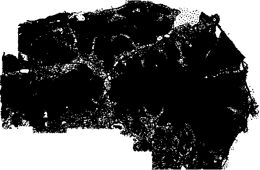 Rapid modeling method for 3DGIS terrain model based on CASS and CATIA