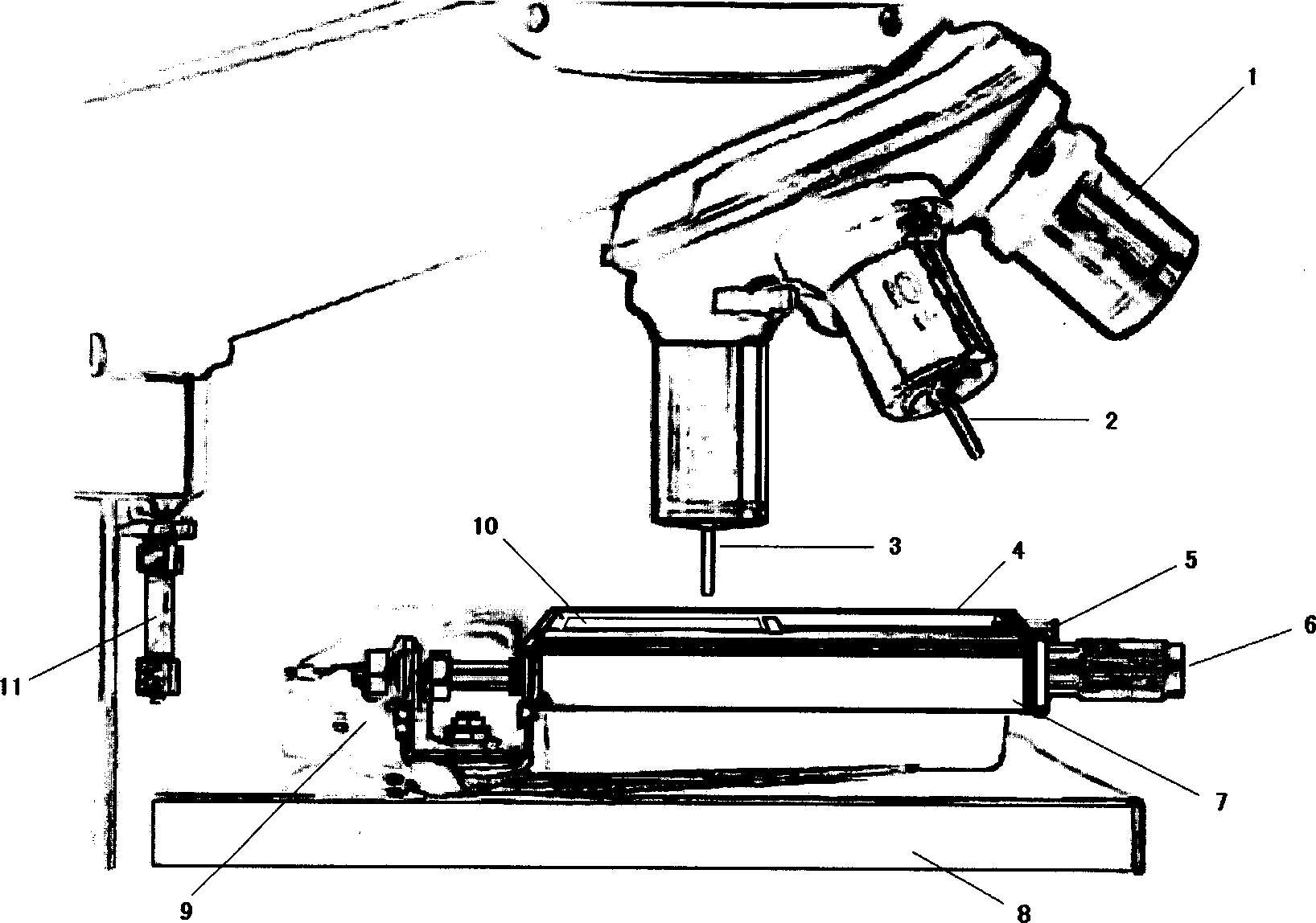 Method for preparing tissue chip