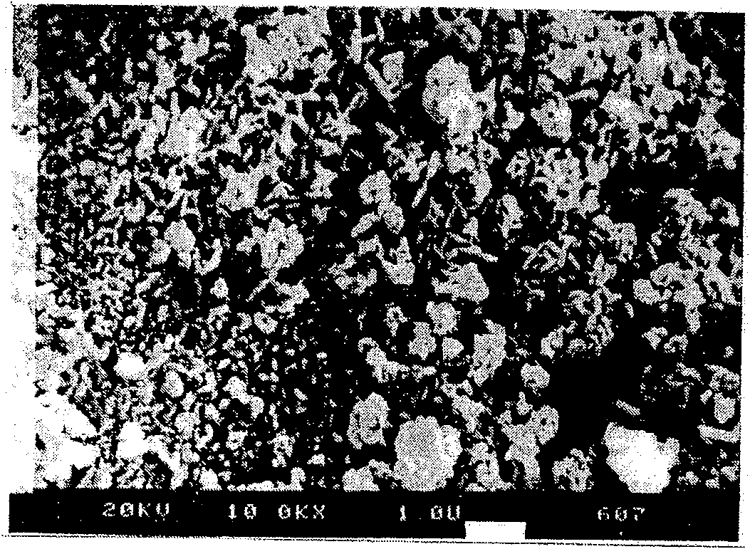 Bimetallic catalyst for degrading chloro organic pollutant, preparation method and application