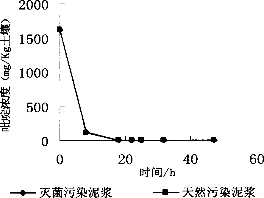 A strain denitrogen paracoccus and its culturing method and application