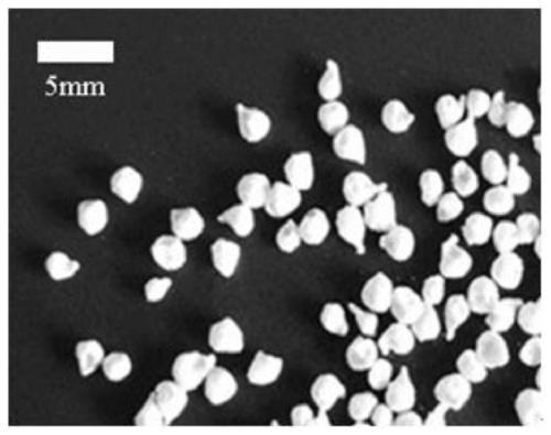 A kind of regenerated cellulose pellet containing flower-shaped nano zno and its preparation method