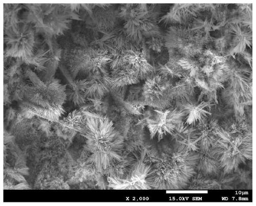 A kind of regenerated cellulose pellet containing flower-shaped nano zno and its preparation method