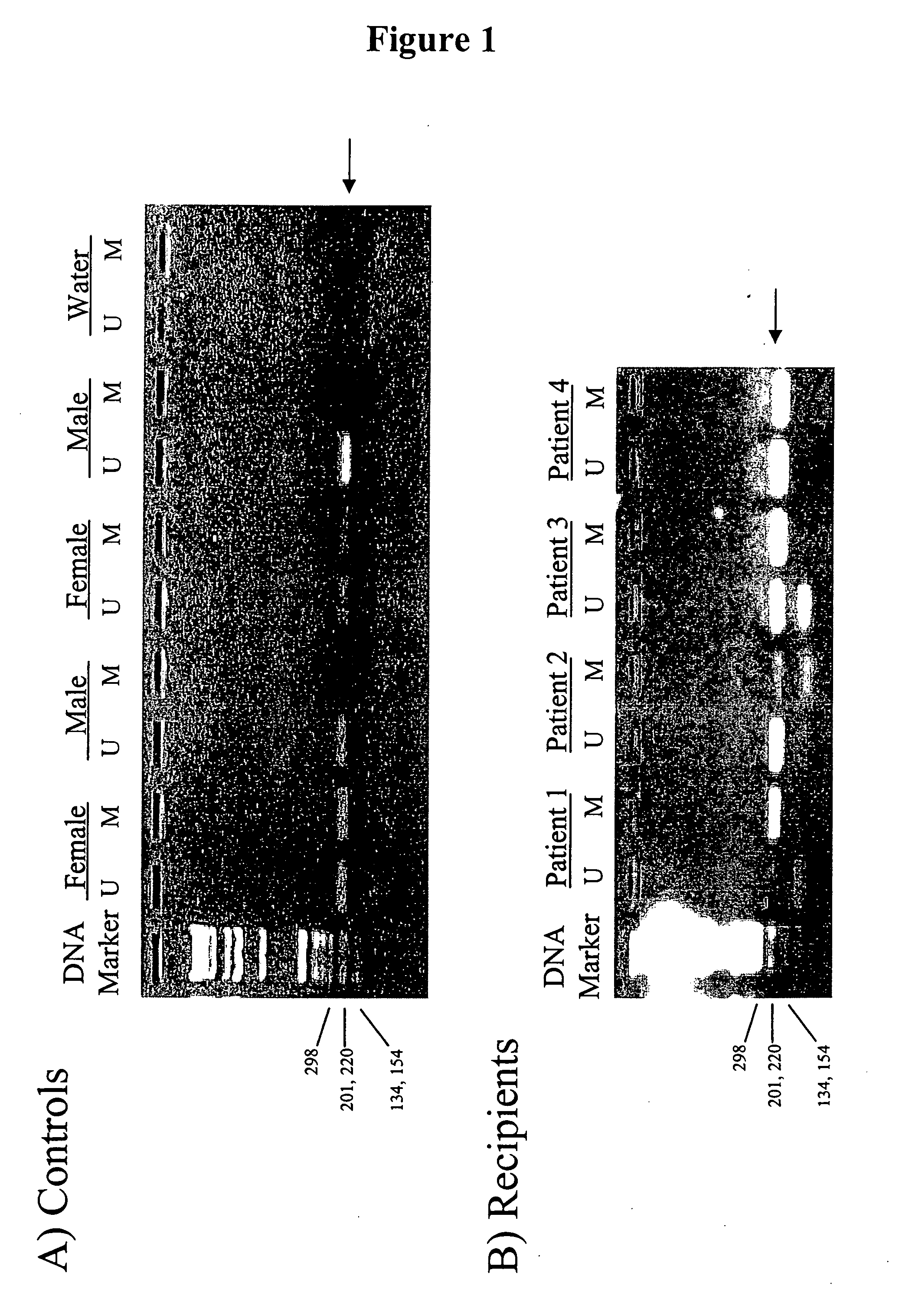 Methods for detecting DNA originating from different individuals