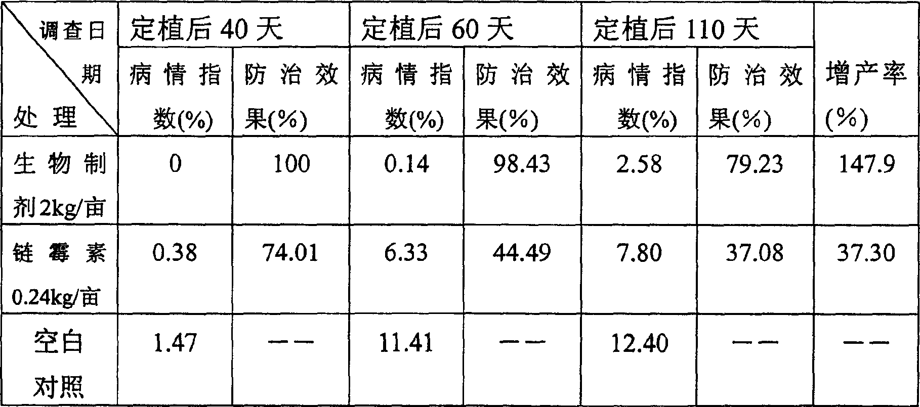 Microbe preparation for controlling and curing bacteroidal grancille wilt of plant and its method as well as usage