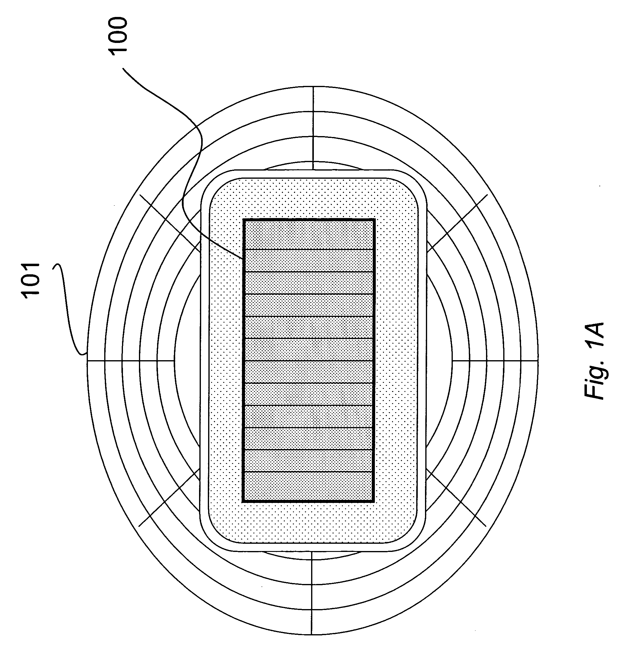 Field display system