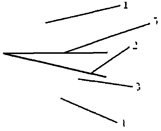 Method for designing shoe tree according to pelma image analysis data