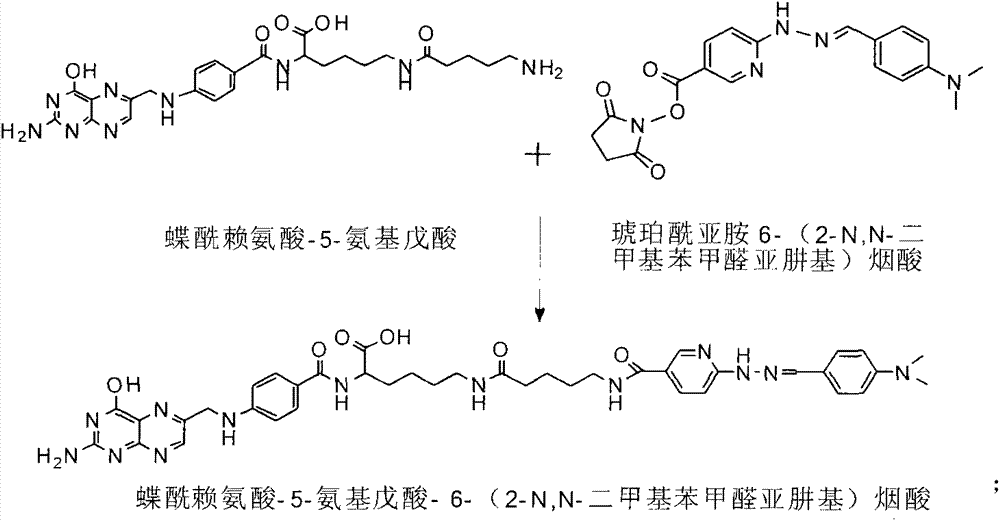 Preparation method and application for 99mTc-labelled hydrazino-nicotinamide-5-aminopentanoic acid-pteroyl lysine complex