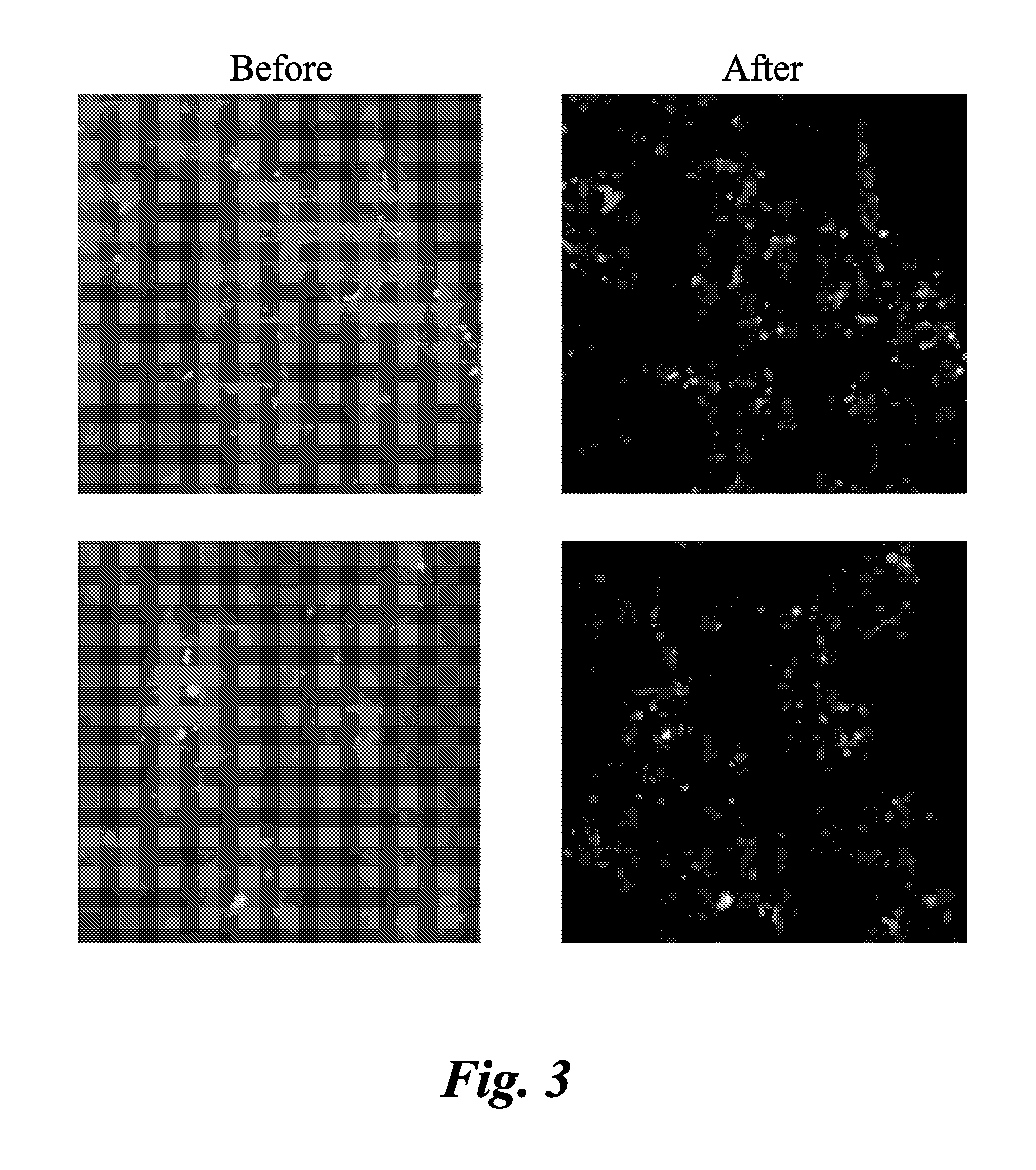 Method and systems for cell-level fish dot counting