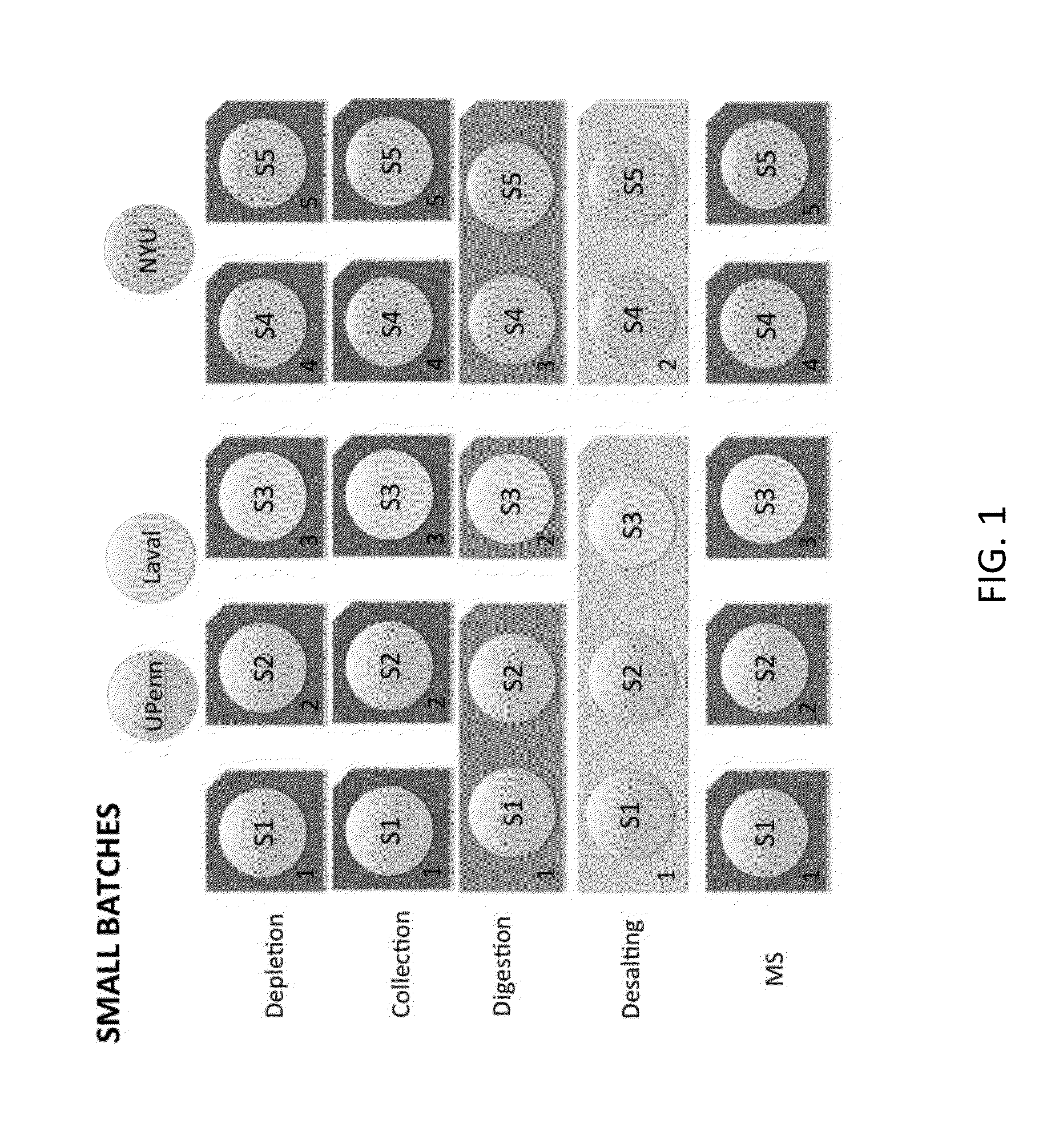 Compositions, methods and kits for diagnosis of lung cancer