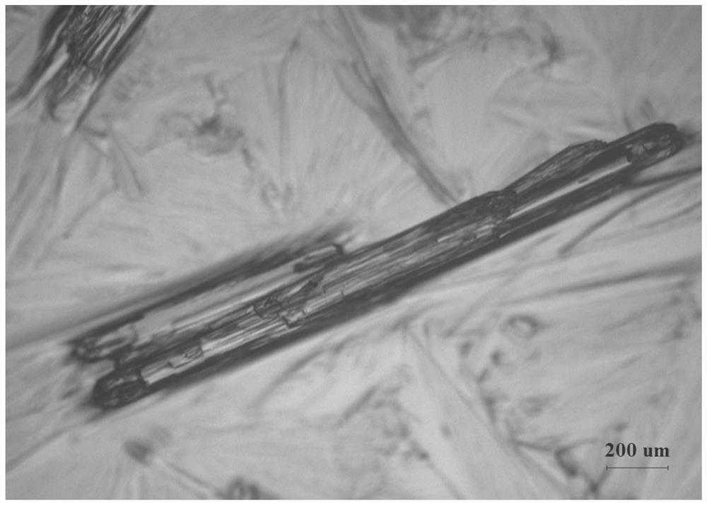 A kind of n,2,3-trimethyl-2-isopropylbutanamide crystal with short rod shape and its crystallization process