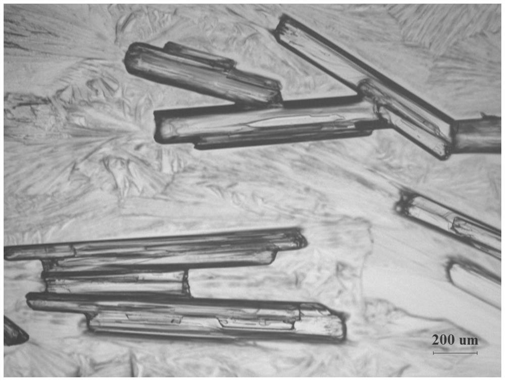 A kind of n,2,3-trimethyl-2-isopropylbutanamide crystal with short rod shape and its crystallization process