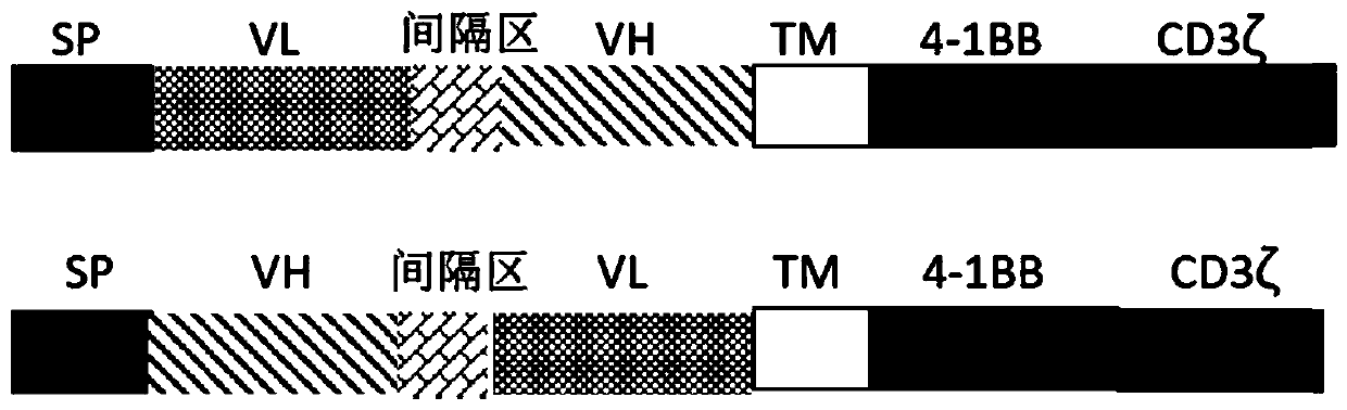 Chimeric antigen receptor targeting CD22 and application for chimeric antigen receptor