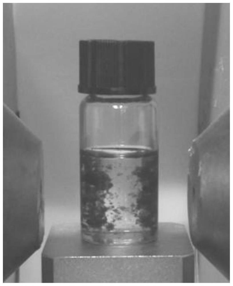 Preparation method of organic chiral ferromagnetic nanocrystals