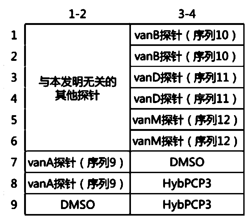 Specific primer combination and probe combination for detecting four glycopeptide drug resistance genes in enterococcus bacteria and application thereof