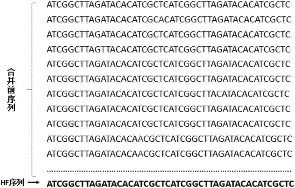 Adapter for next-generation sequencing