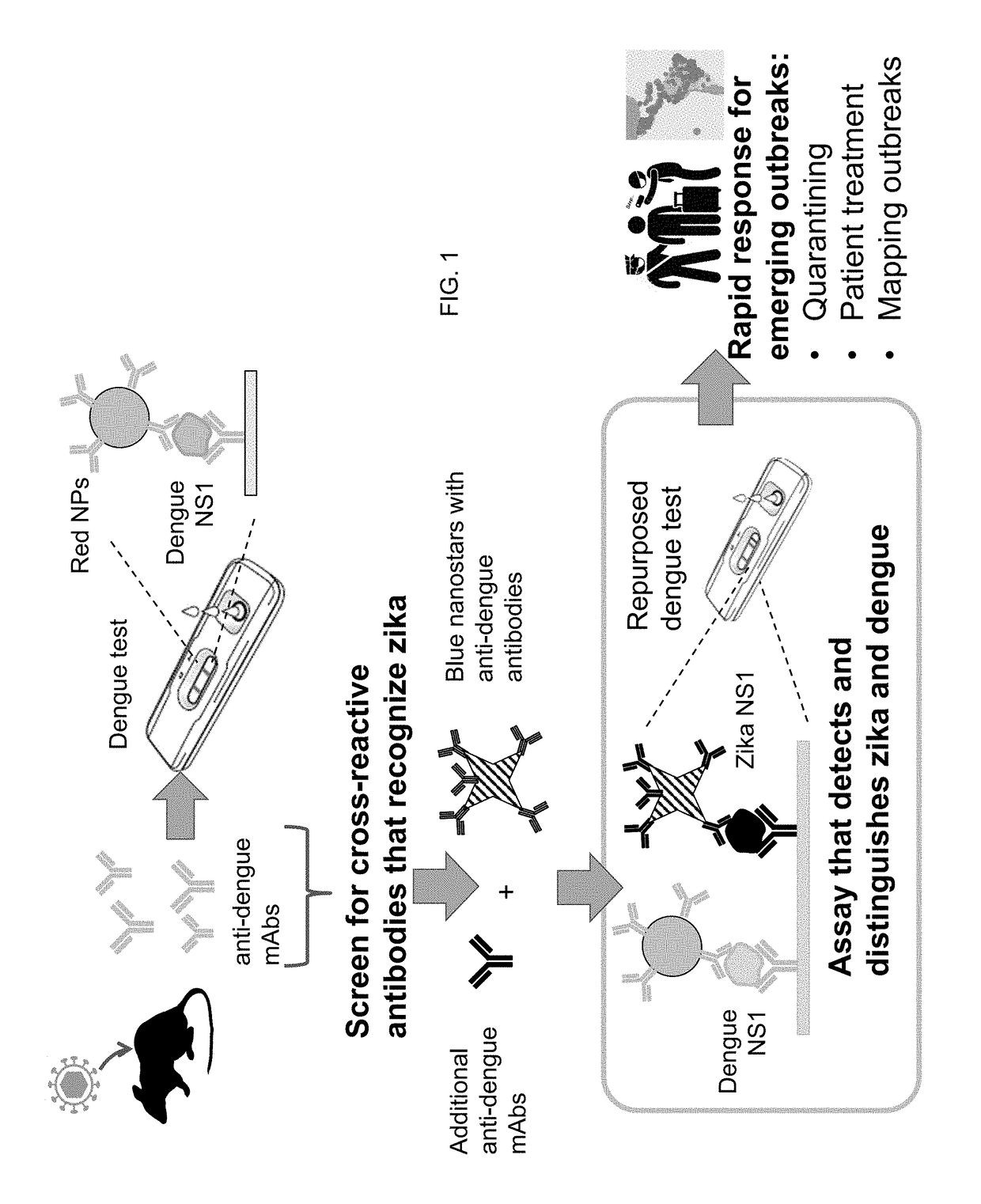 Multiplexed Immunoassay for Detecting Biomarkers of Disease