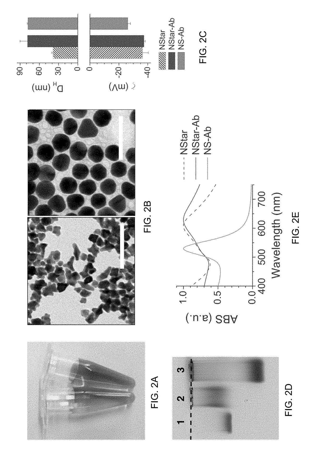 Multiplexed Immunoassay for Detecting Biomarkers of Disease