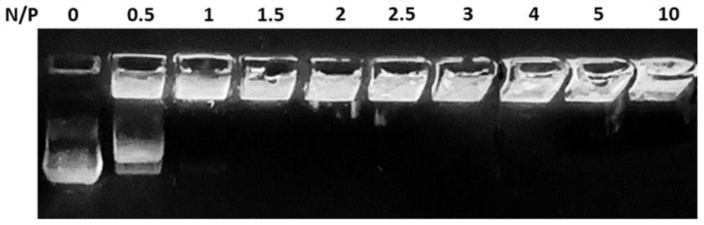 Plasmid entrapped cationic liposome compound for treating malignant tumors