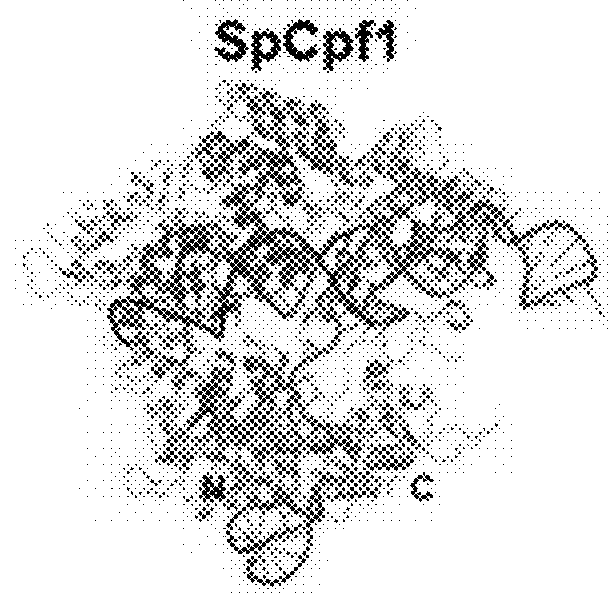 Systems, methods, and compositions for targeted nucleic acid editing